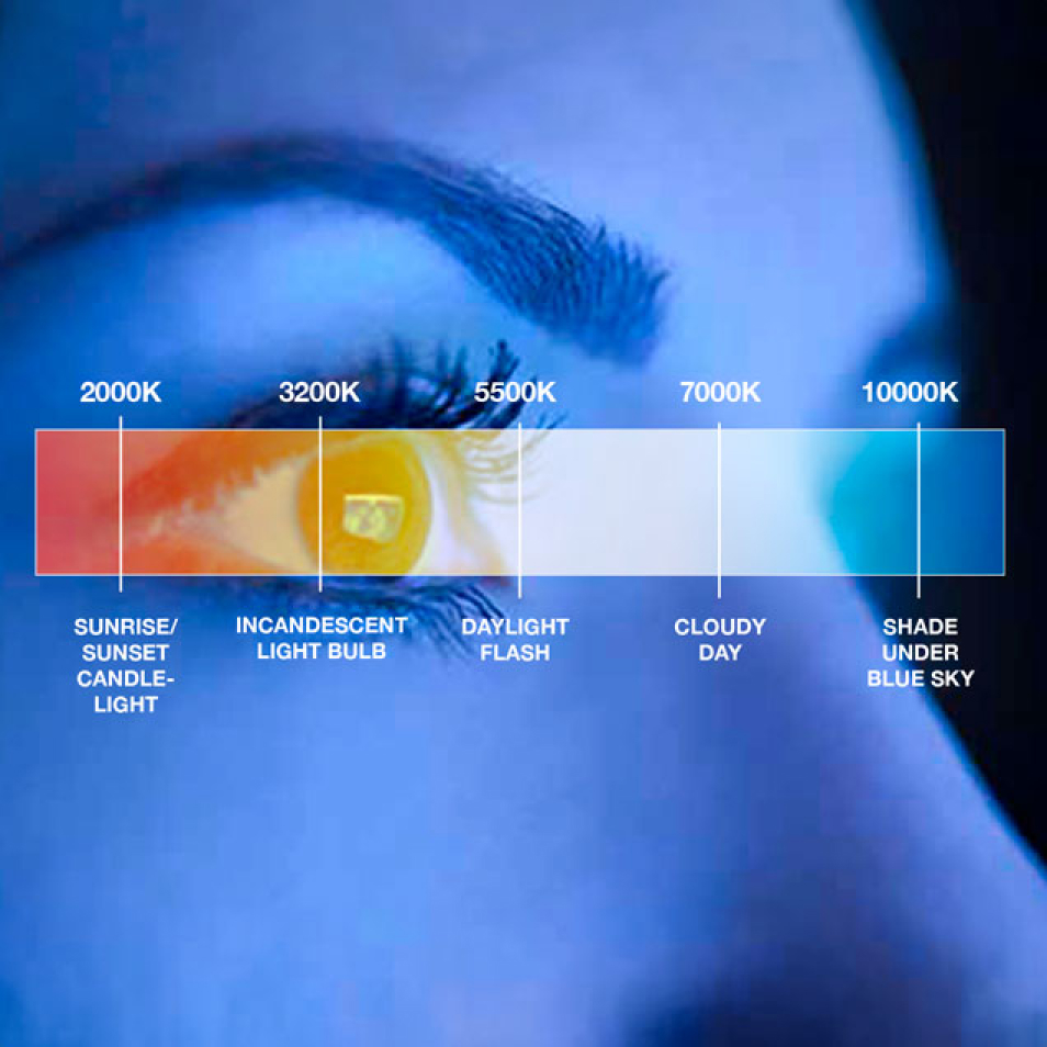 What looks like regular white light is a full spectrum of colors. Blue light is the most intense.